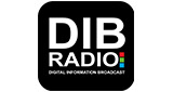 DIB Radio
