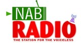 NAB Radio
