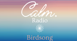 Calm Birdsong
